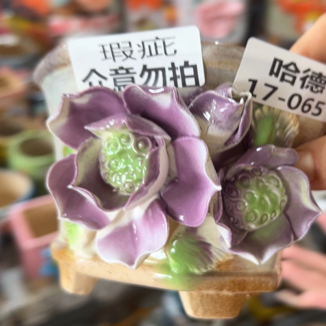 瑕疵1765 拍满18:8元发货包邮