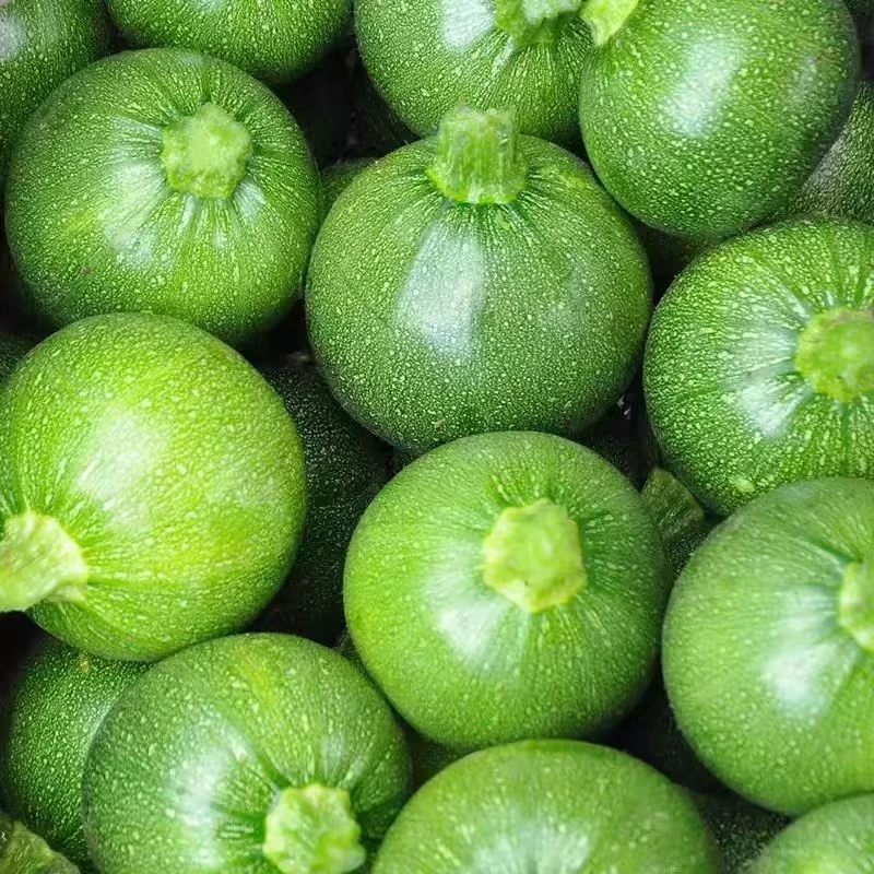 贵州农家自种小南瓜新鲜小青菜瓜嫩南瓜