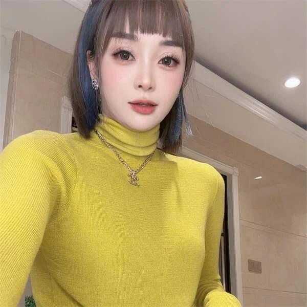 【巴韩】玲姐家86753时尚气质南韩显瘦百高领针织堆堆领打底衫毛衣