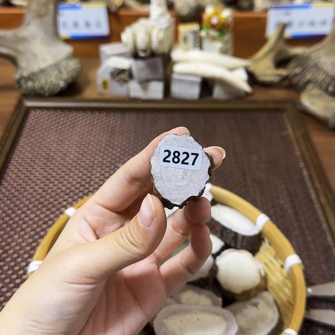 鹿骨手串/手链2827片