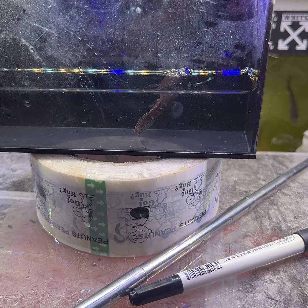 木*李亲亲亲亲亲亲亲亲亲亲