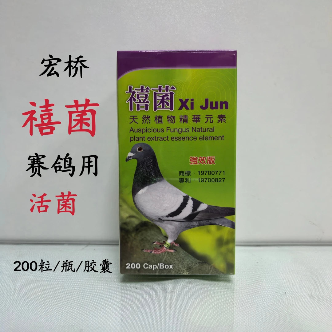 宏桥禧菌200粒/瓶/胶囊赛鸽活菌营养种鸽助消化恢复体能护理肠道