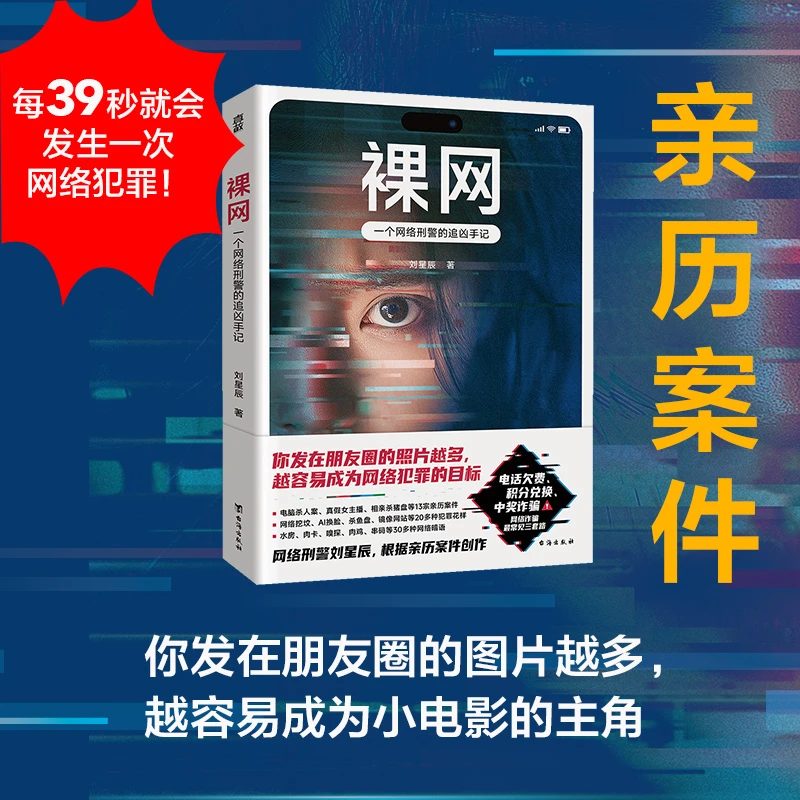 裸网：一个网络刑警的追凶手记