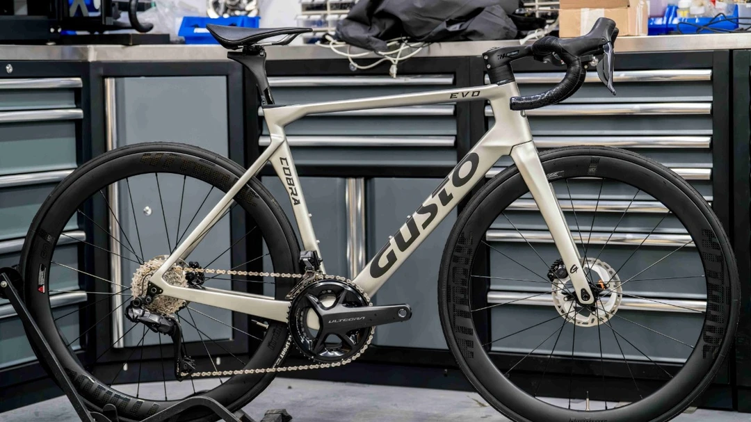 高士特Gusto cobra evo公路车适合173-183左右