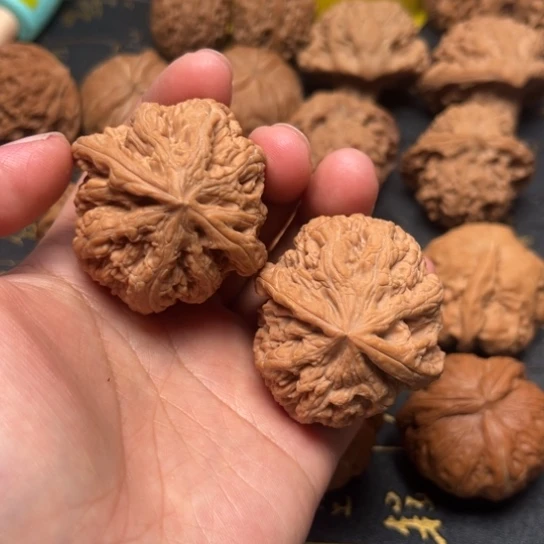 大粗筋41全品无修