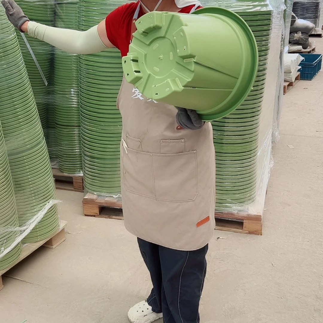 青山盆6#果绿色5个无托