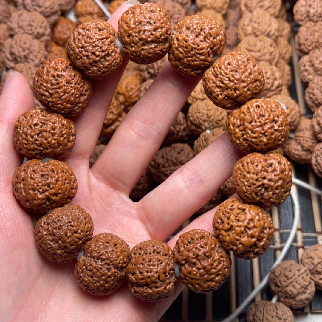 菩提平**福19号金刚菩提熊猫菠萝22