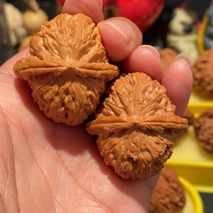 文玩核桃36尺白狮子