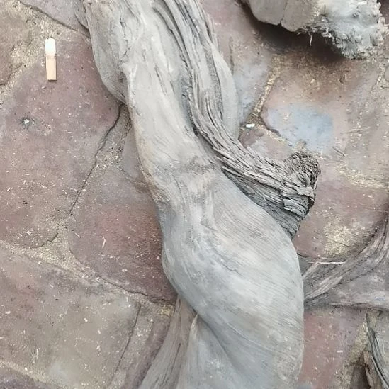 惟***柏木（崖柏）崖柏摆件，，，，