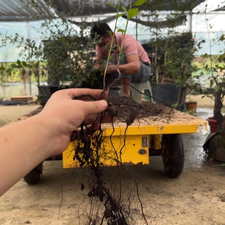 E***y爱知之辉哈哈哈哈哈哈哈哈