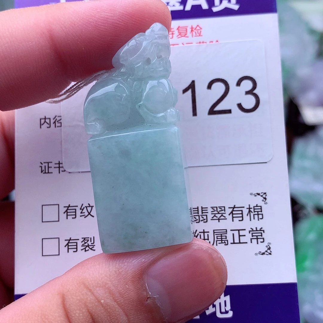 翡翠未镶嵌吊坠(不含链)