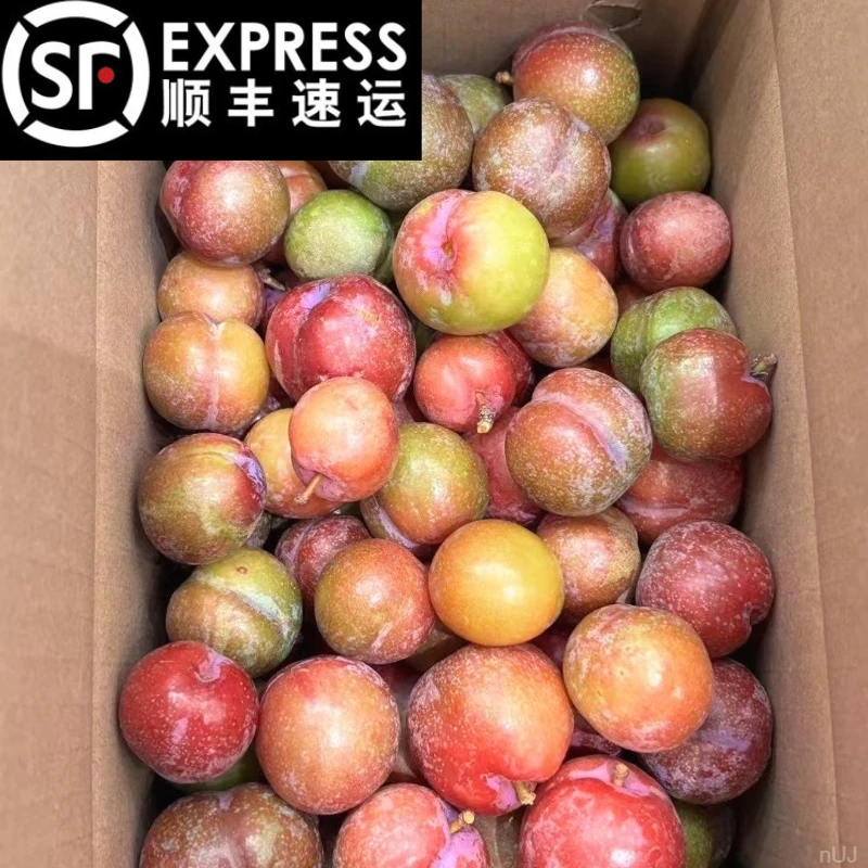 【顺丰包邮】红心三华李新鲜现摘李子酸甜当季水果孕妇产地直发包邮
