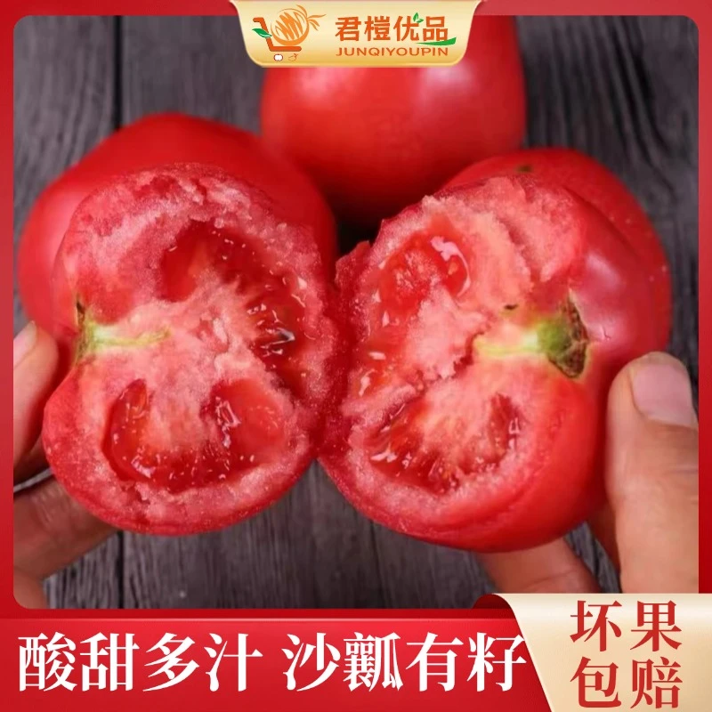 沙瓤西红柿自然熟番茄露天新鲜采摘农家自种酸甜多汁产地水果蔬菜
