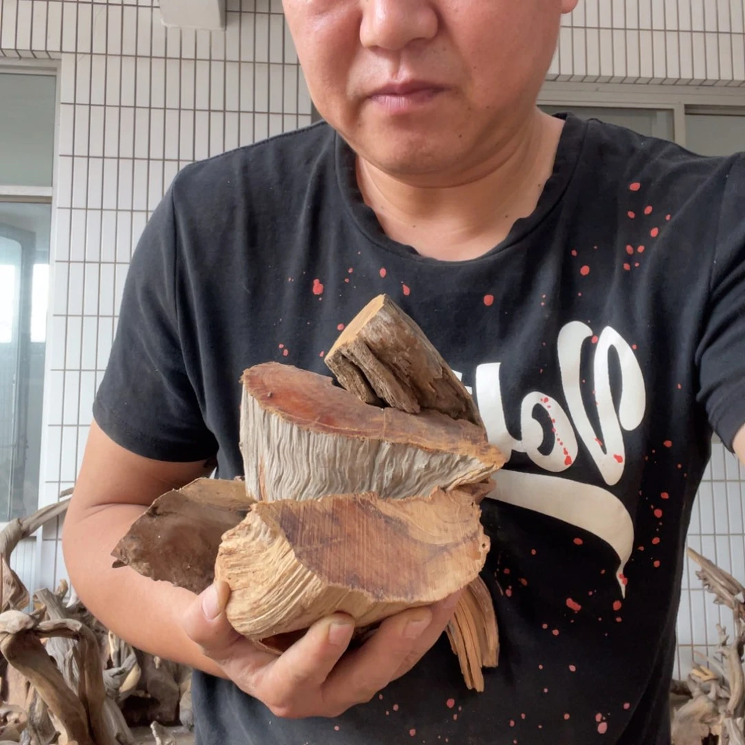 柏木随**变啊啊啊啊啊啊啊啊啊啊