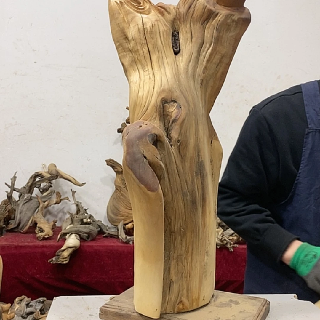 【闪购商品】柏木丽***?我们都是好孩子