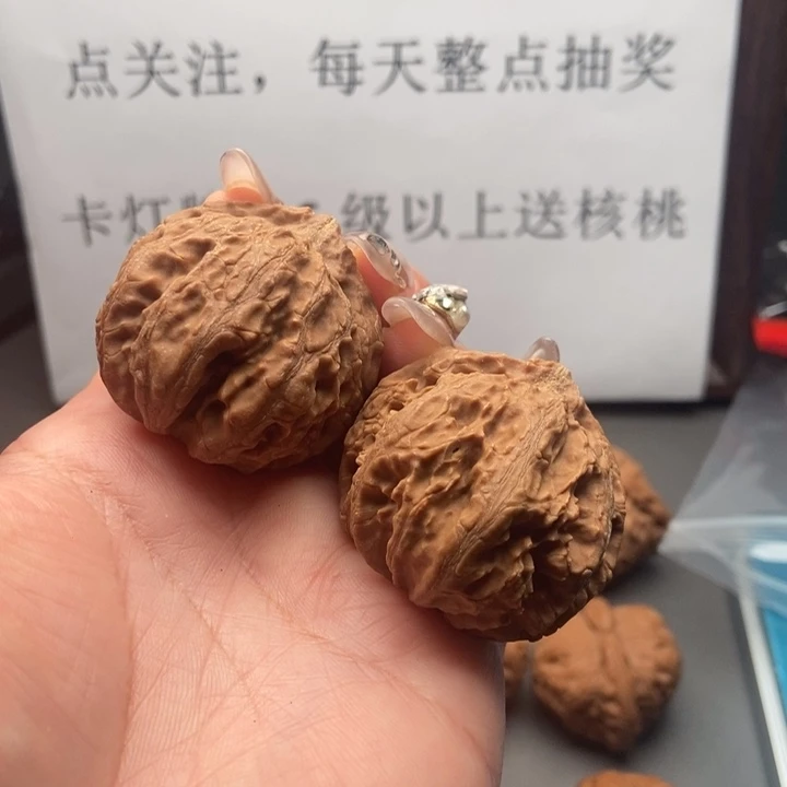 吊坠文玩核桃全品霸王龙40尺寸