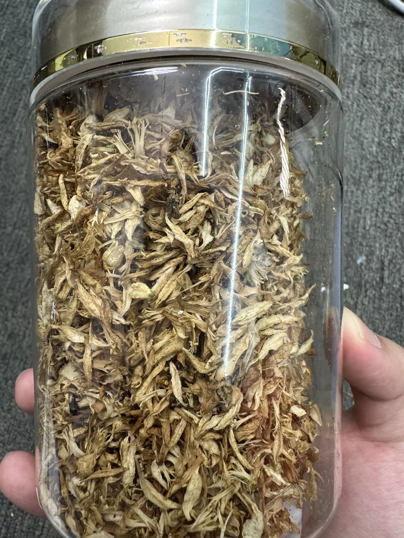 (彬哥推荐)柑花50g