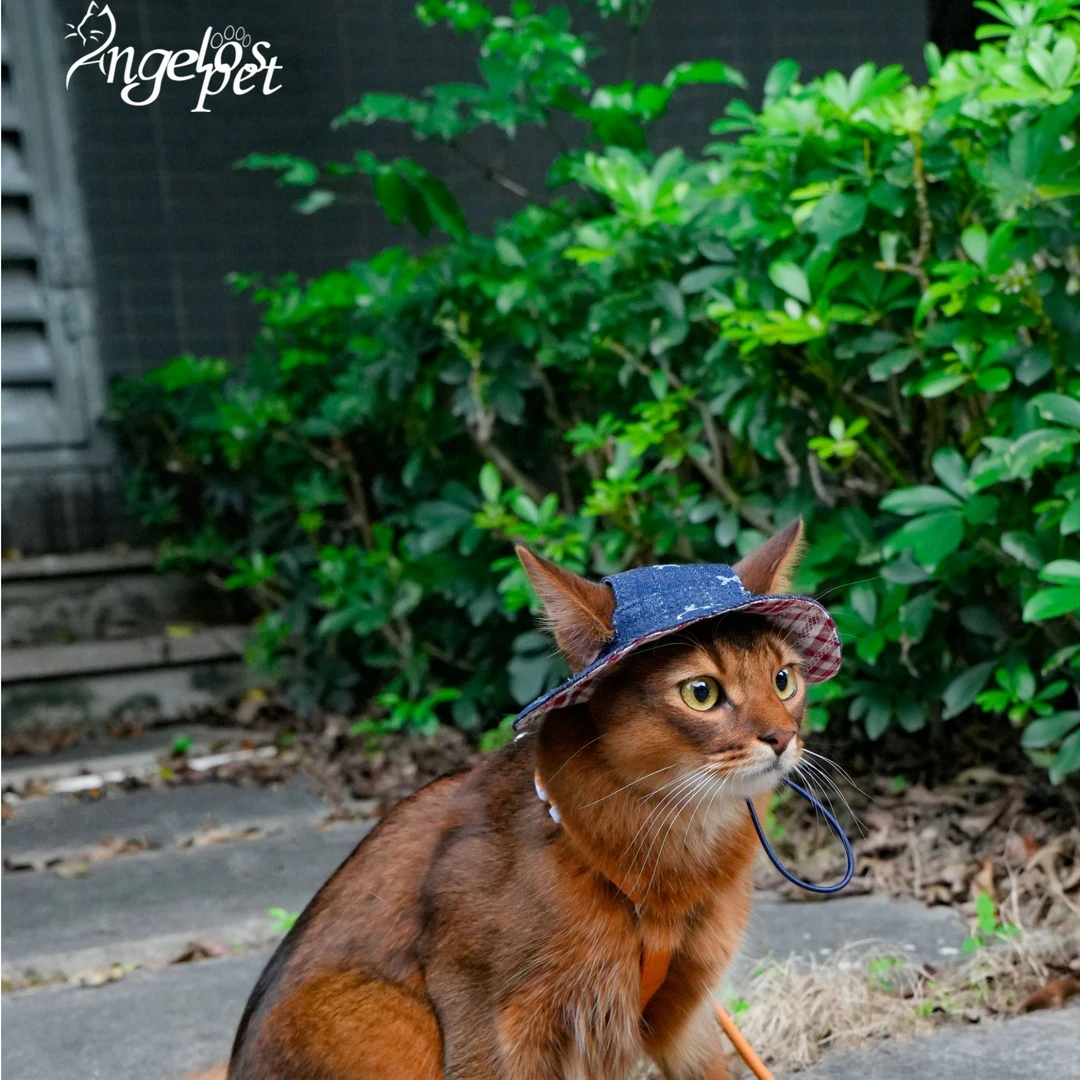 angelospet德文阿比尼亚猫穿搭牛仔帽子Crimsonstitch系列渔夫帽