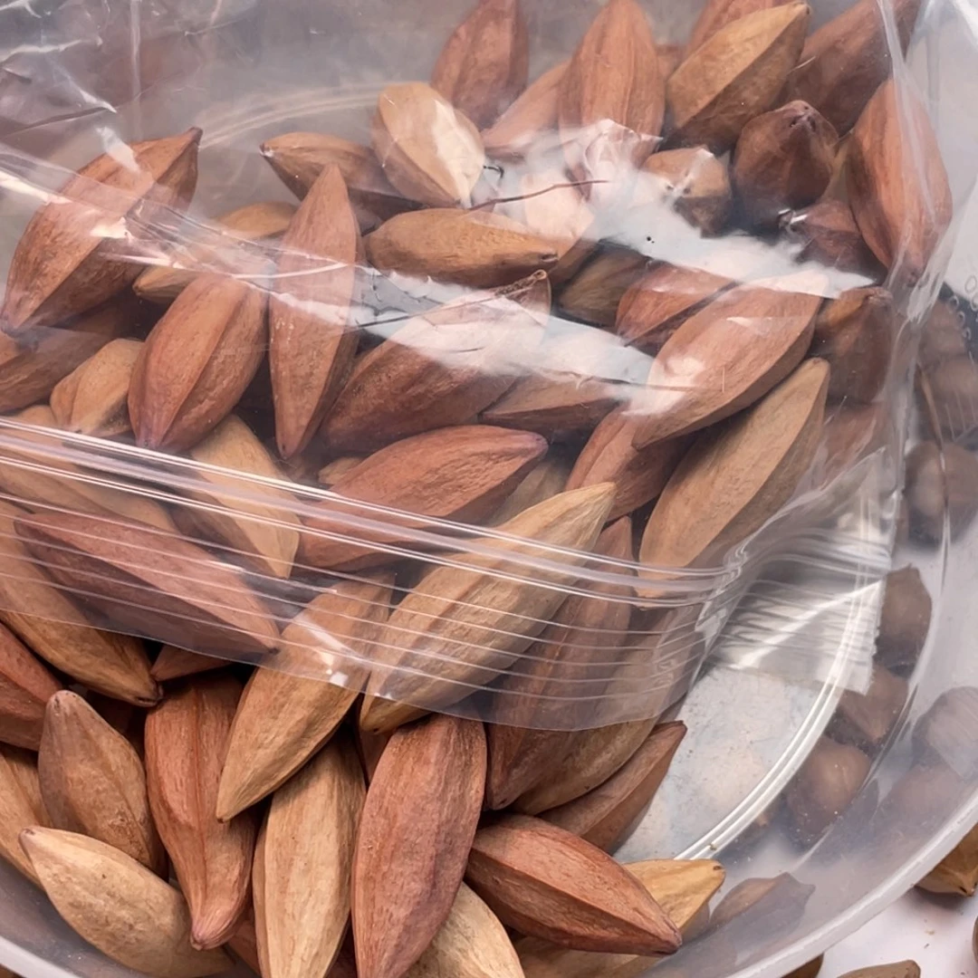 没***字橄榄核手串/手链长核