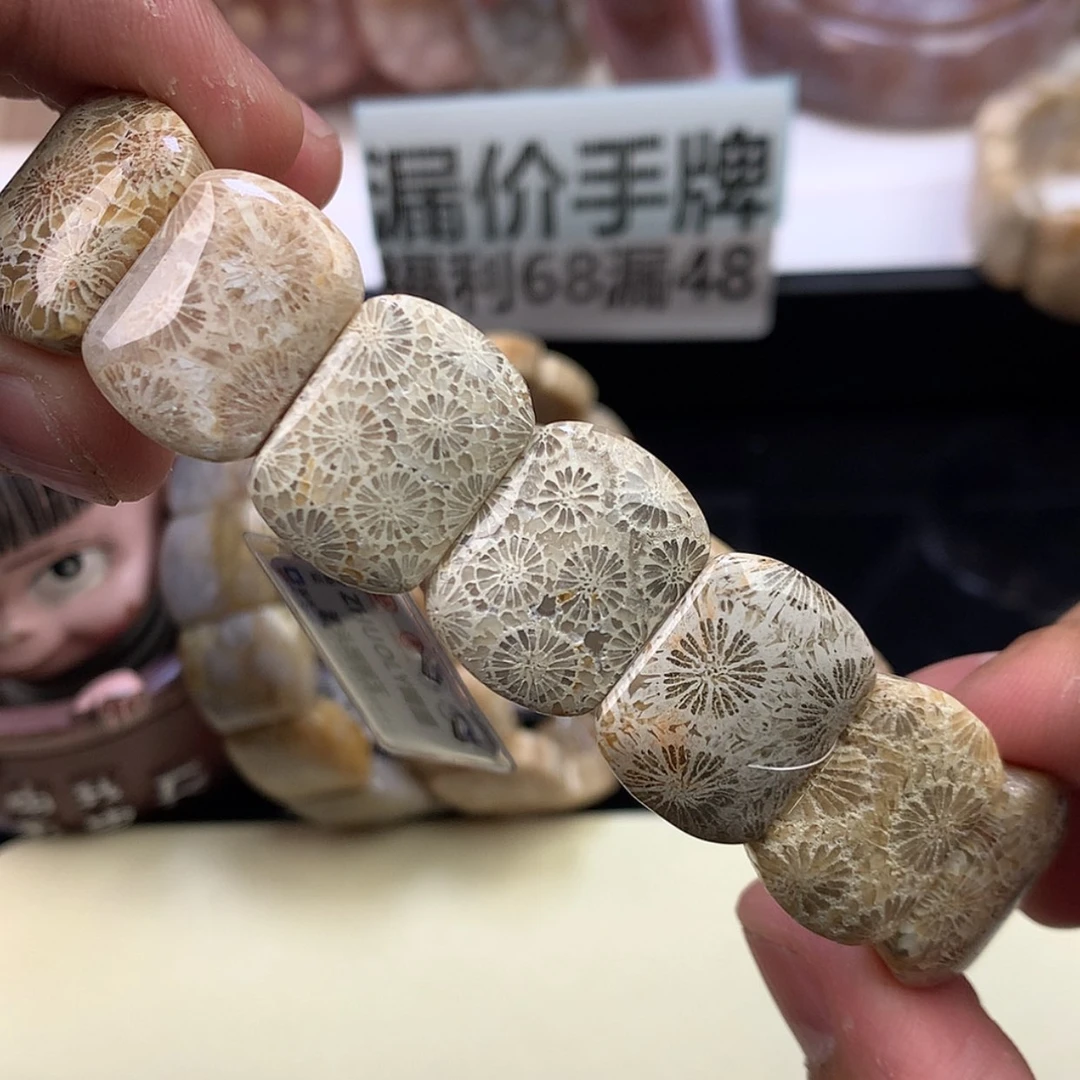 【闪购商品】颈饰未镶嵌硅化珊瑚（珊瑚玉）27号大花花