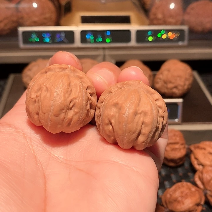 文玩核桃霸王筋36尺树王对