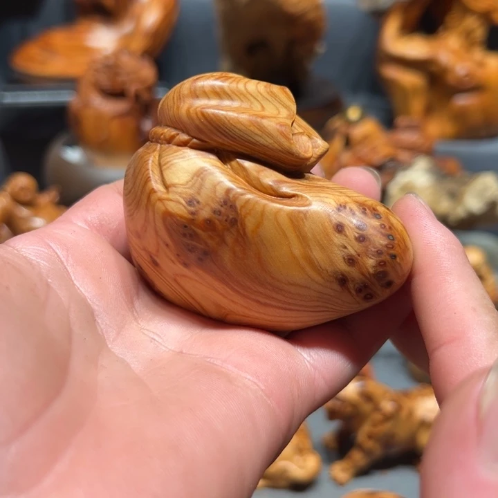 柏木（崖柏）点点关注
