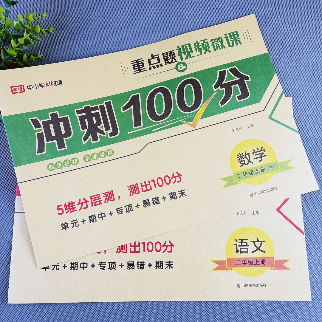 二年级上册试卷测试卷全套冲刺100分试卷单元测试卷期中期末试卷
