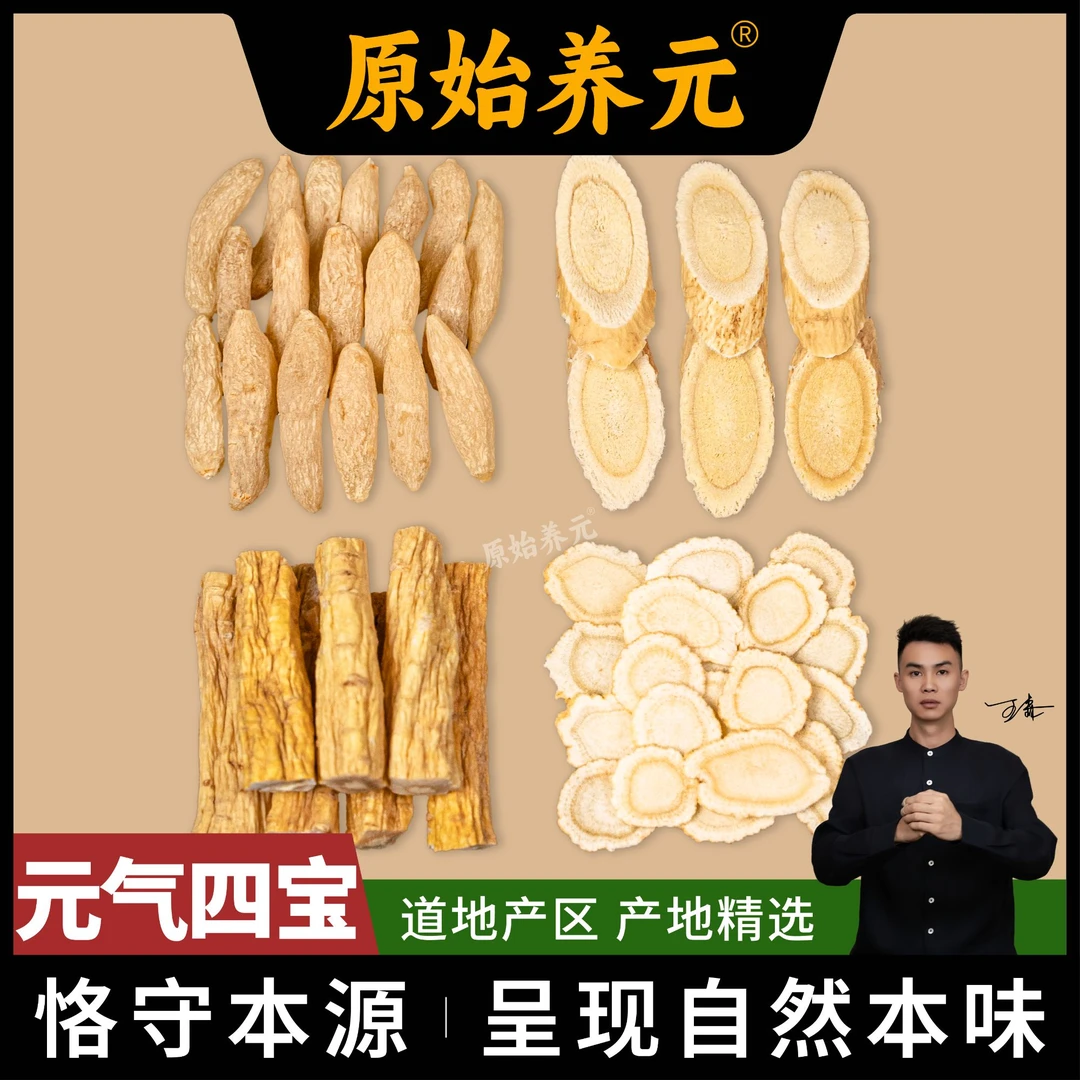 元气四宝组合煲汤搭配装煮水煲汤炖肉精选搭配元气四宝