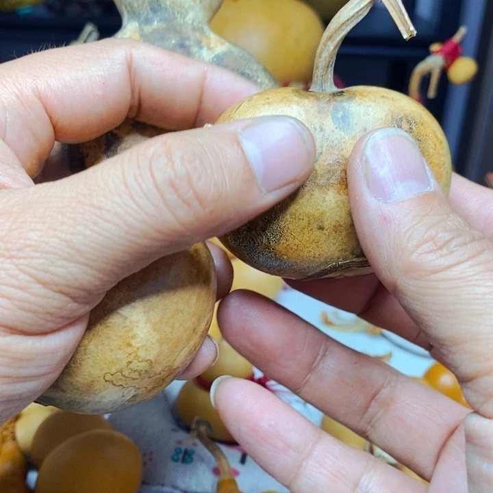 5**5葫芦直播间链接不退不换