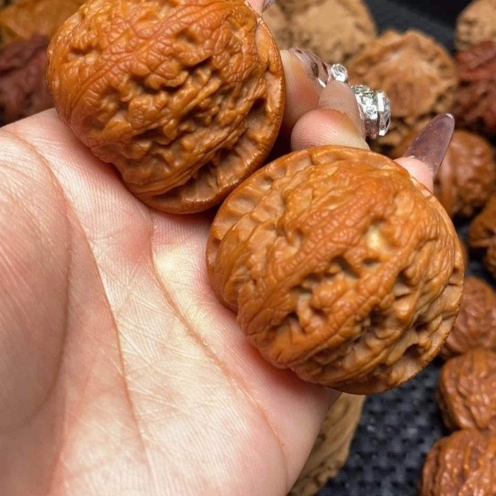 秦岭野生0000000000126