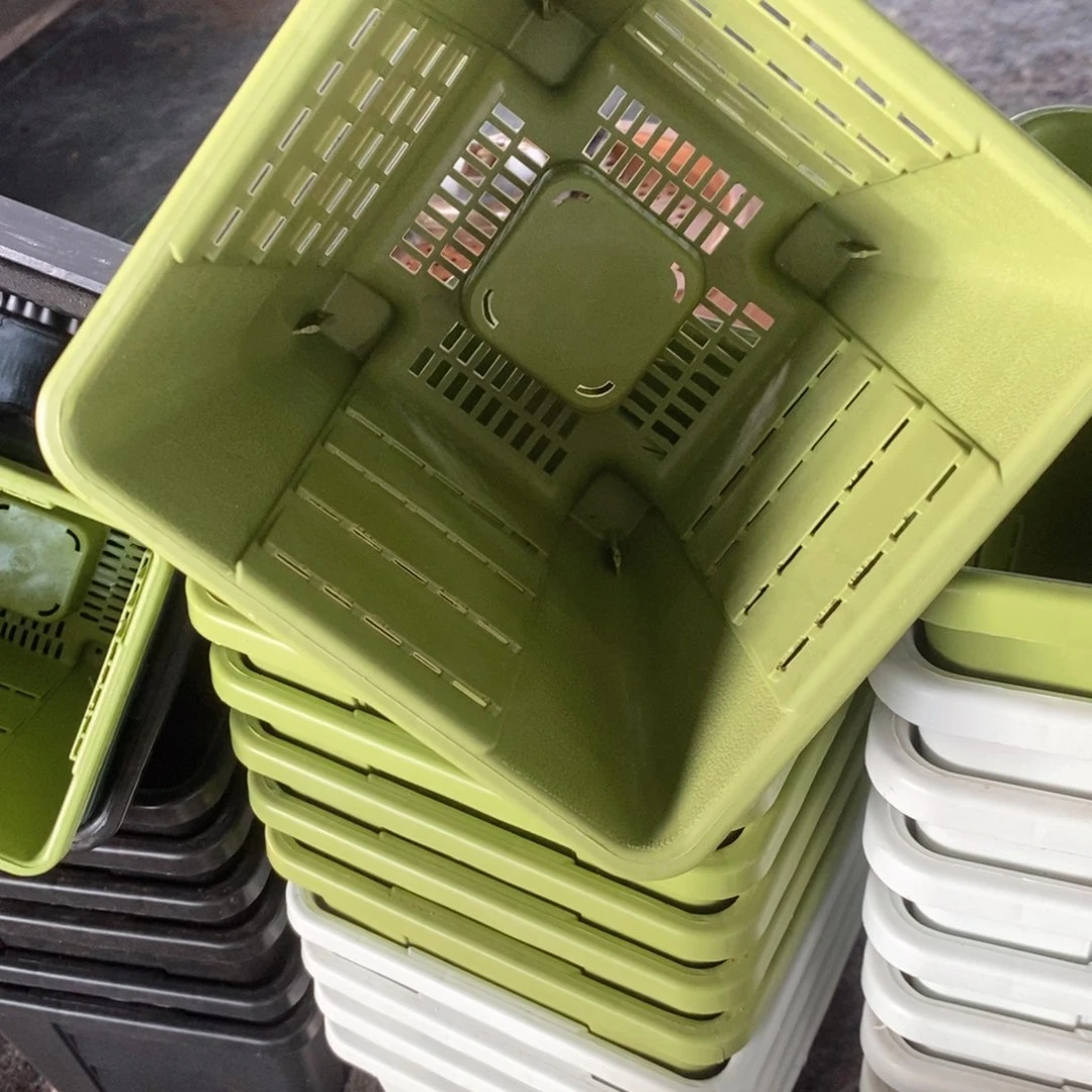 6个16口果绿方无托