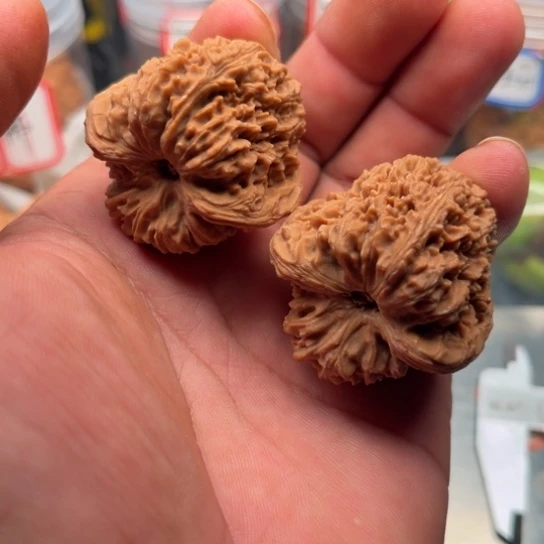 把件文玩核桃南疆40