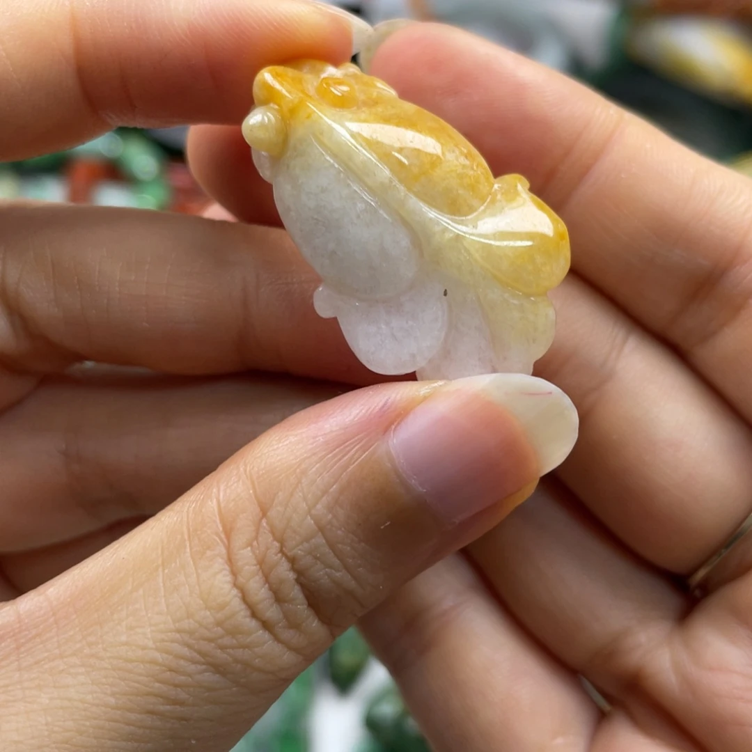 *****翡翠未镶嵌颈饰牌子