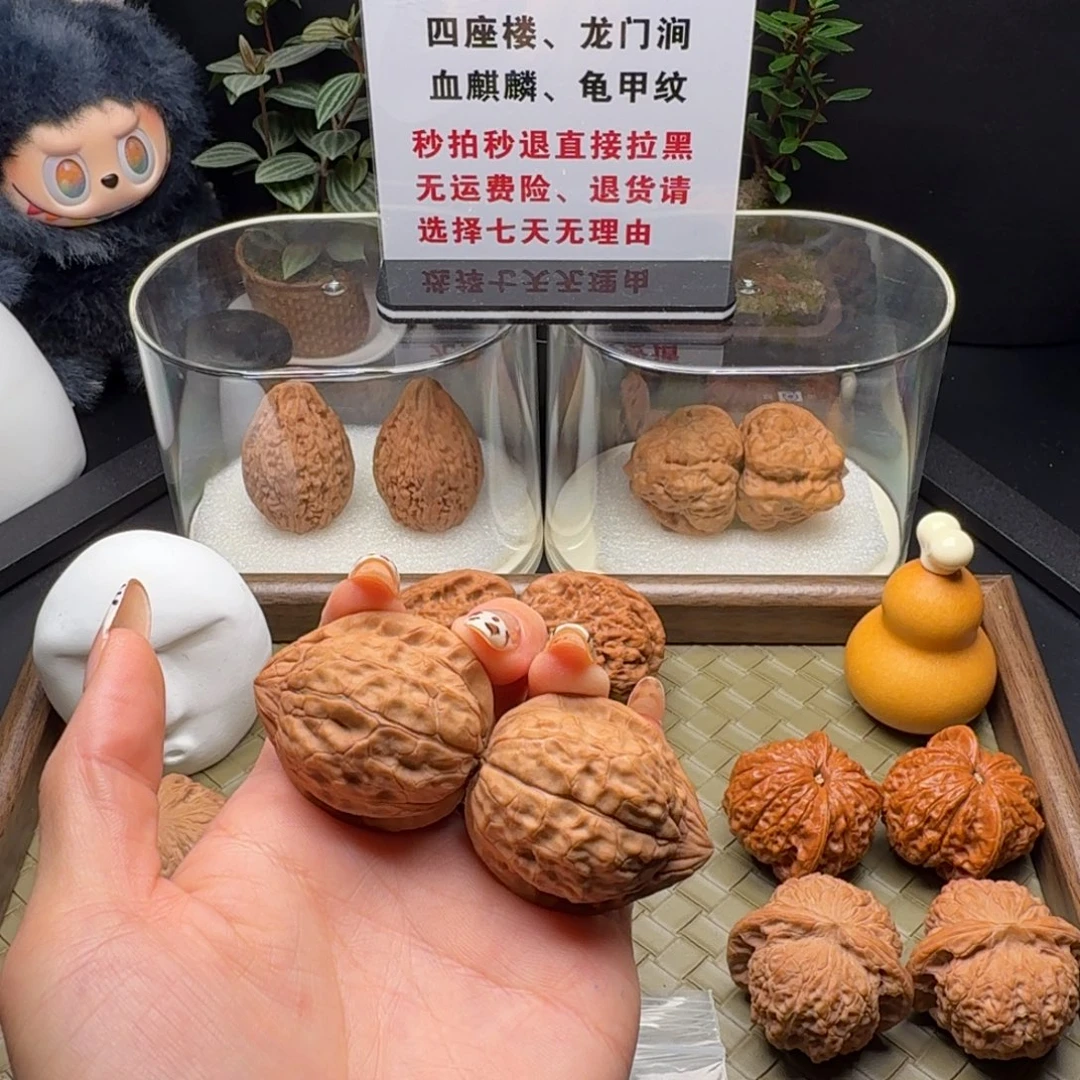 君***亚龙脊菩提吊坠全品龟甲文