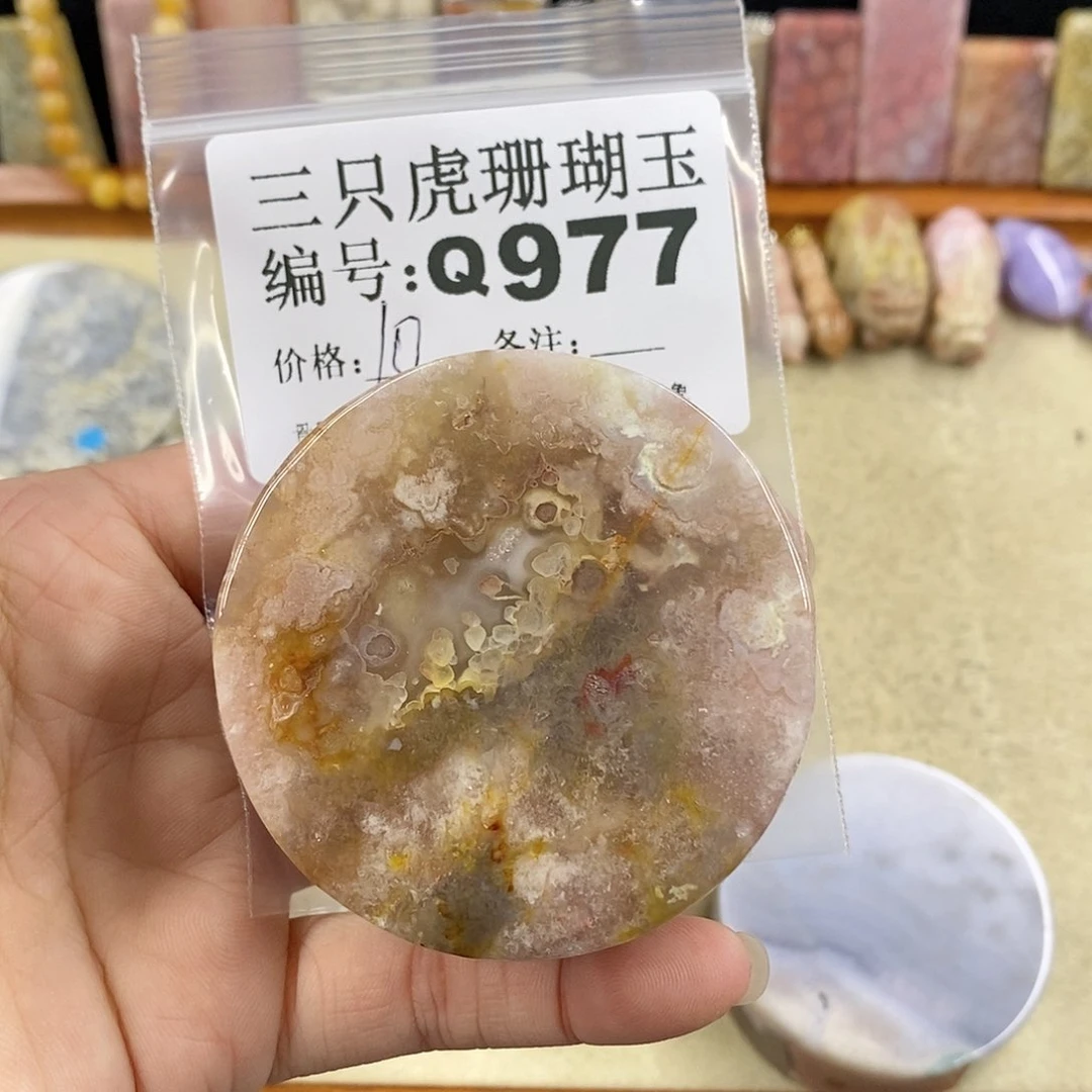 硅化珊瑚（珊瑚玉）1未镶嵌优*