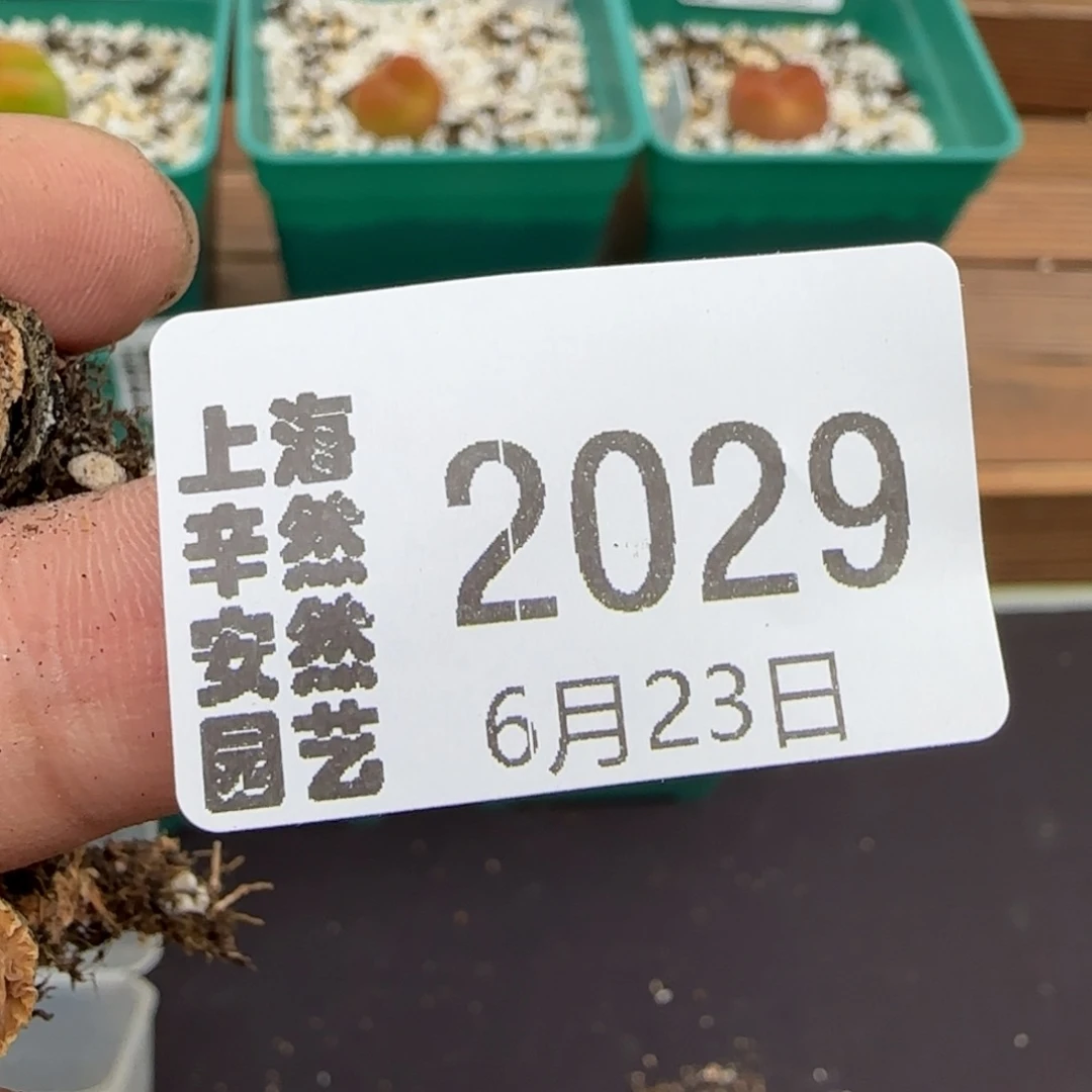 一***帅6.23。。。c259略长x7。。。2029