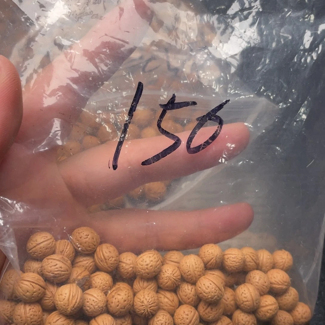【闪购商品】海**号散子发货80