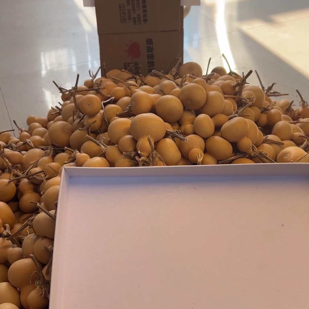 功***猫新葫芦奶嘴胖墩胖梨墩