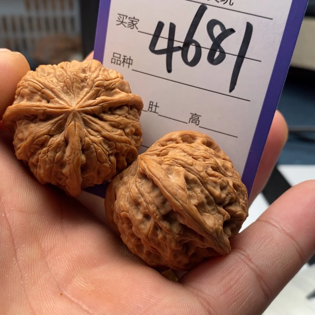 吊坠文玩核桃4681