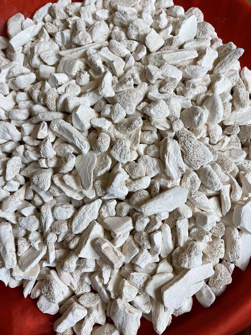 1【龙-骨】净含量：50-500g【小田现收】