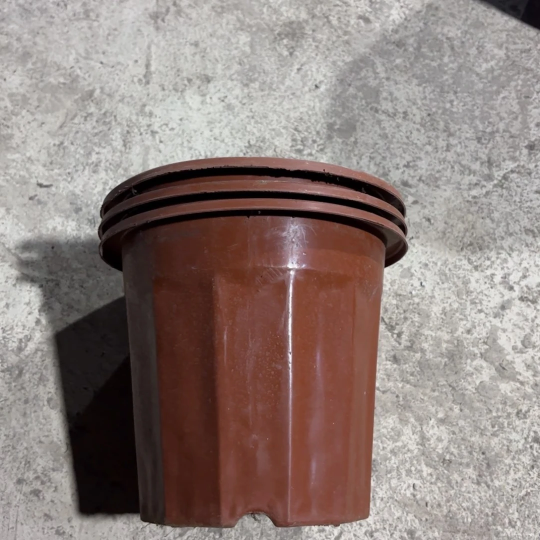 红砖盆200口径发15个