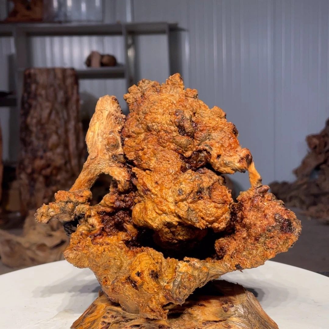 古***风木猛子琥珀木摆件1