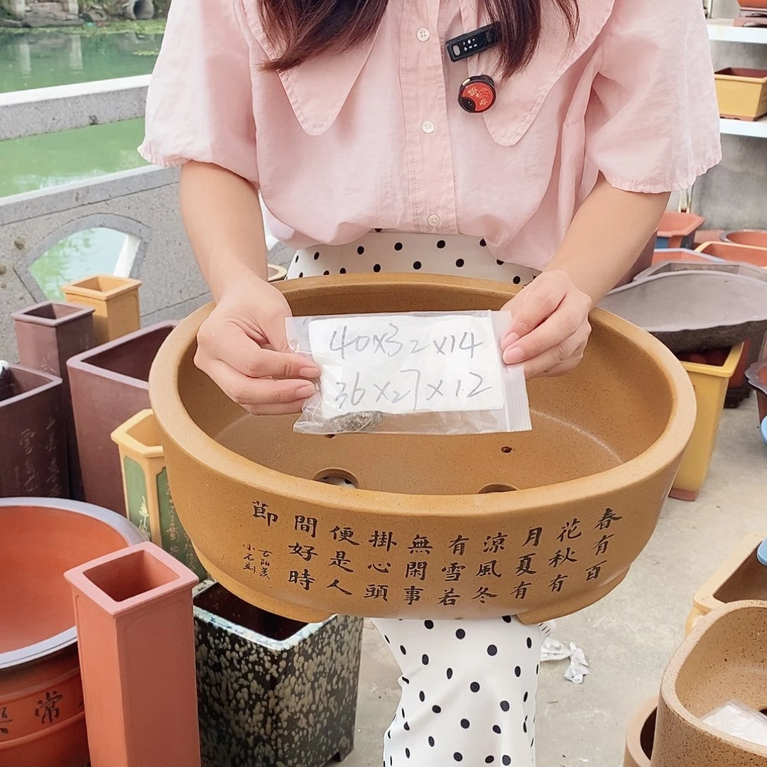 紫砂花盆紫砂花盆