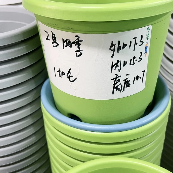 特价2号四季口17高14白色10个无托