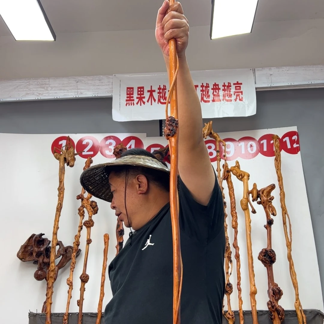 阿***9黑果木其他黑果木300