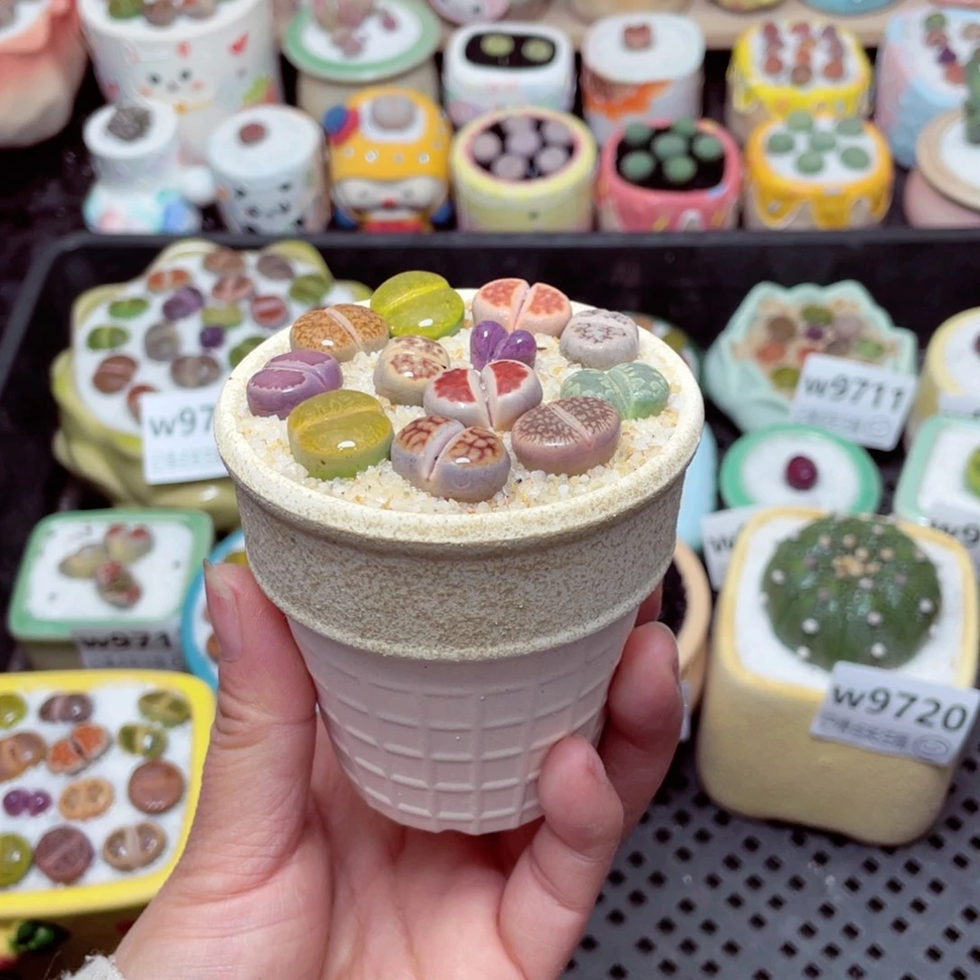 w9722 -零下地区拍保温箱-15支持寄养