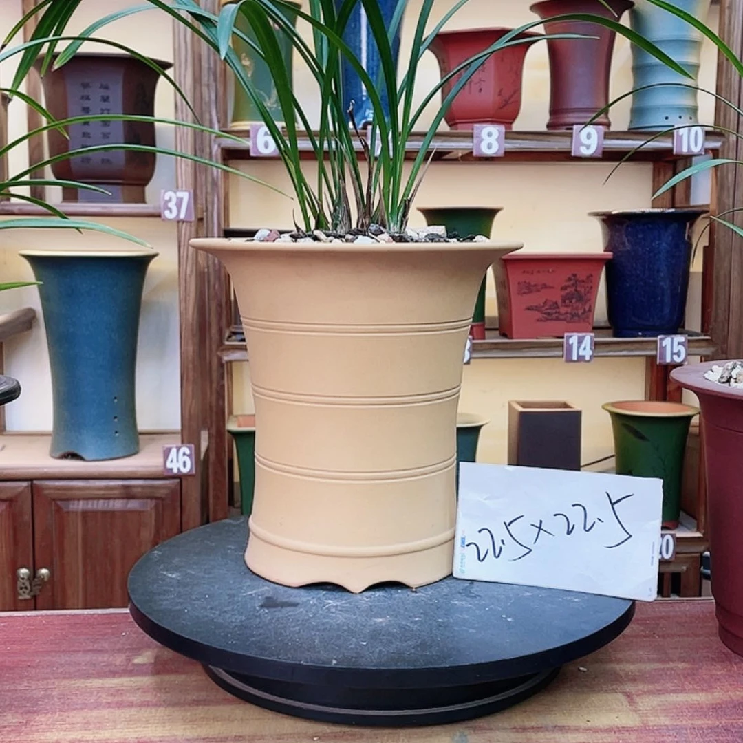 【闪购商品】紫砂花盆兰花485566525555885455