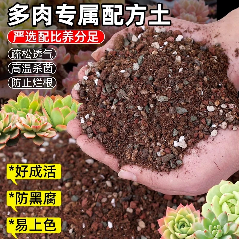 多肉颗粒土专用营养土植物泥炭种植土壤肉肉叶插小苗老桩颗粒花土