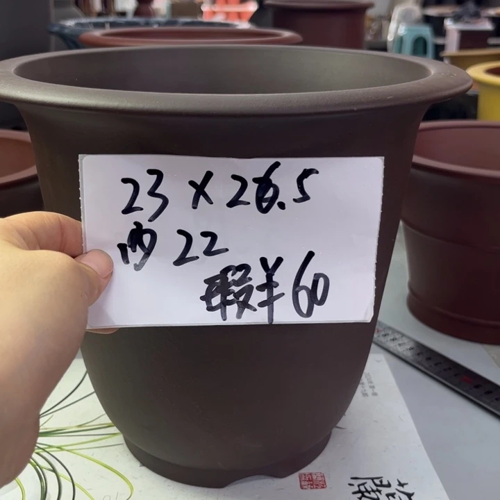 紫砂花盆88588888888885858888888