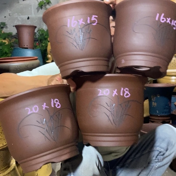 紫砂紫砂紫砂紫砂